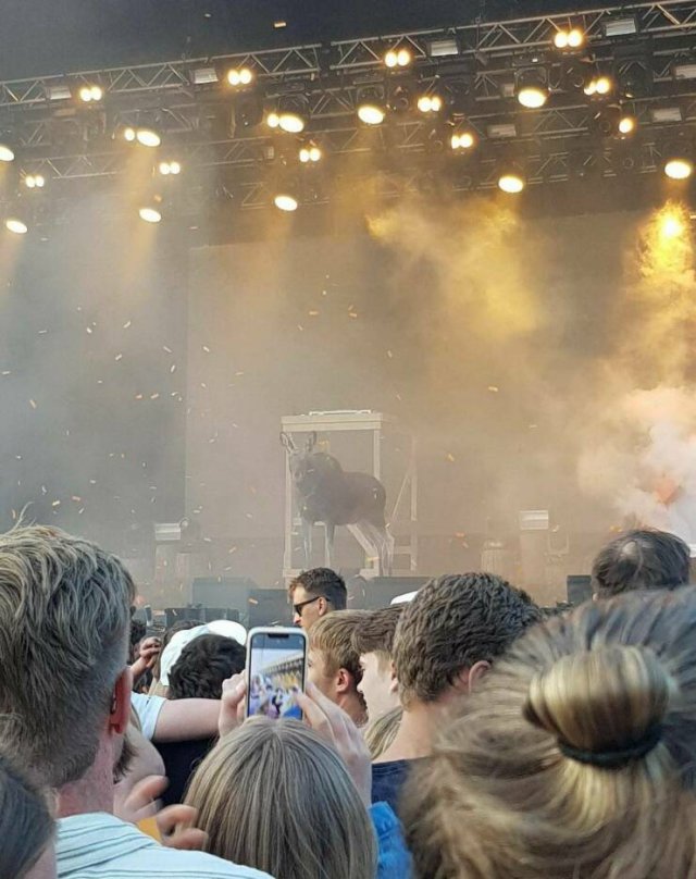 ���������� ��������