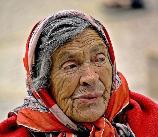 ���������� ��������