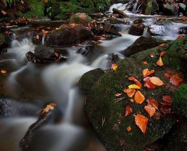 ���������� ��������