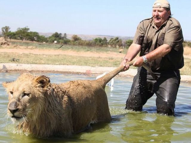 ���������� ��������