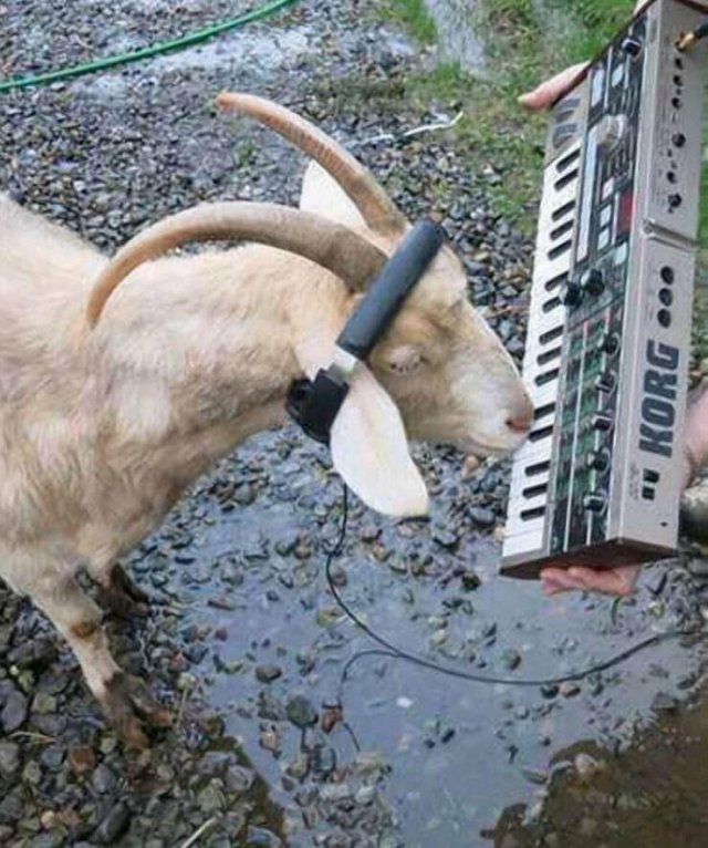 ���������� ��������