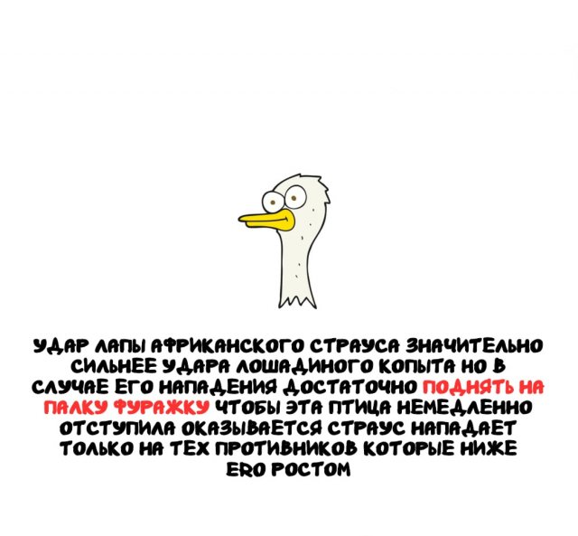 ����� �� ������ ����