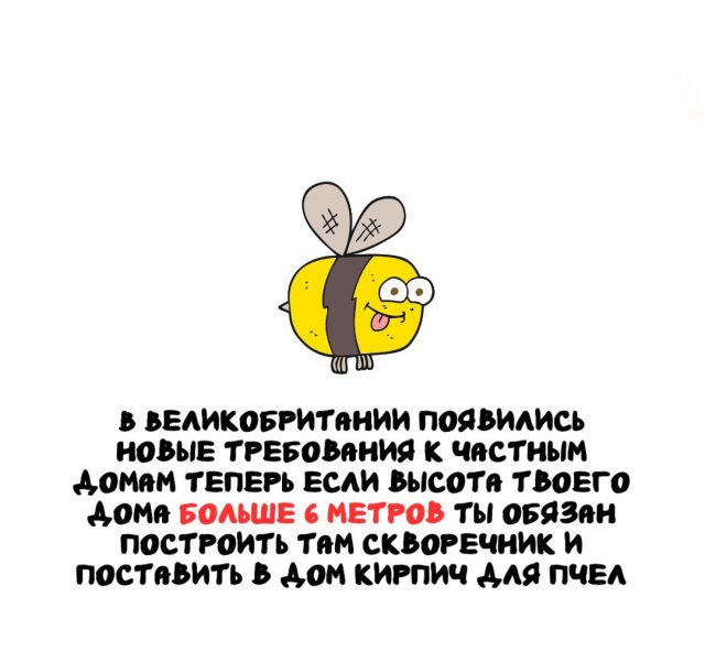 ����� �� ������ ����