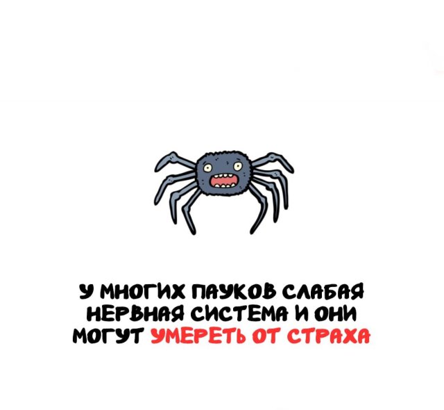 ����� �� ������ ����