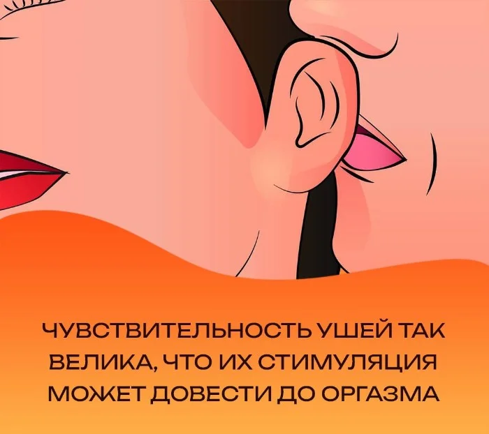 ����� ��� ��������