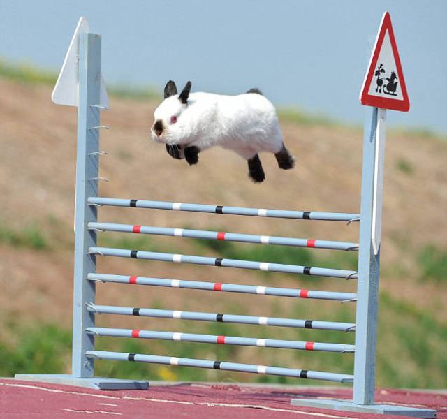 ���������� ��������