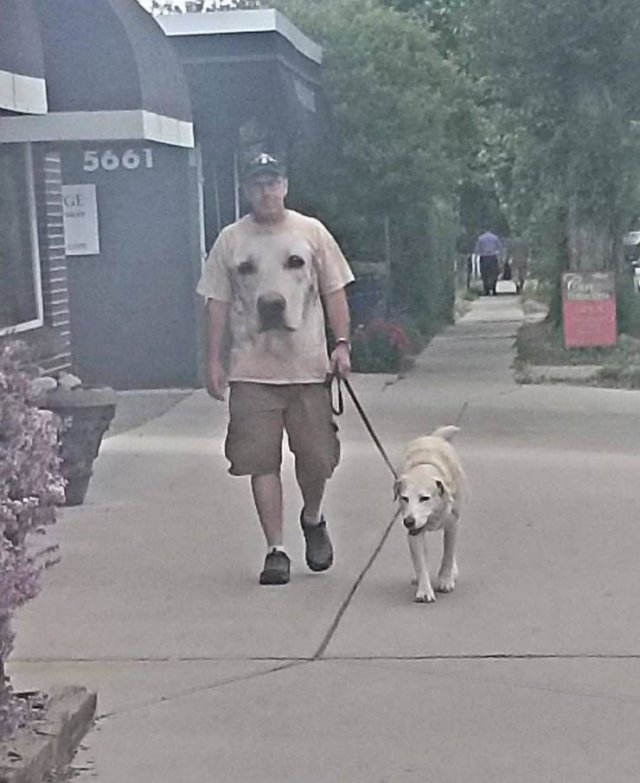 ���������� ��������