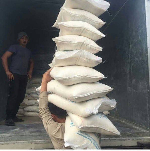 ���������� ��������