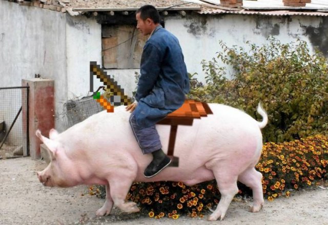 ���������� ��������