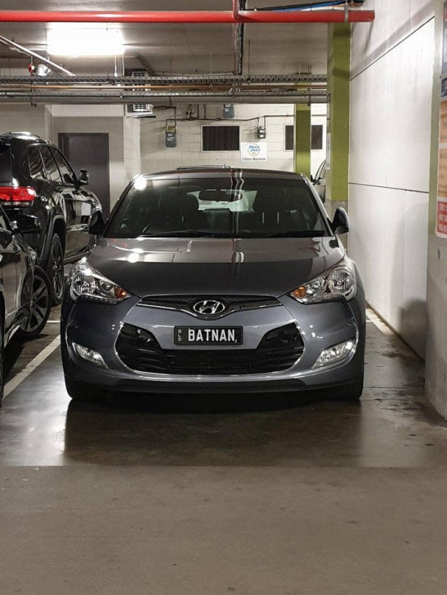 ���������� ��������