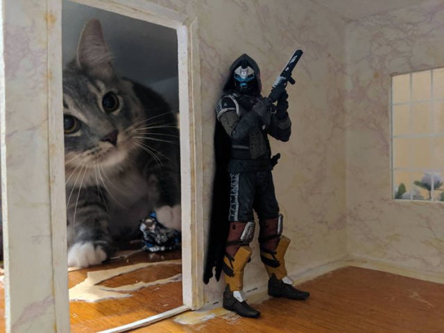 ���������� ��������