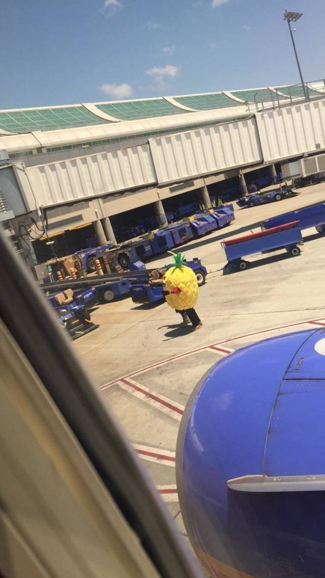 ���������� ��������