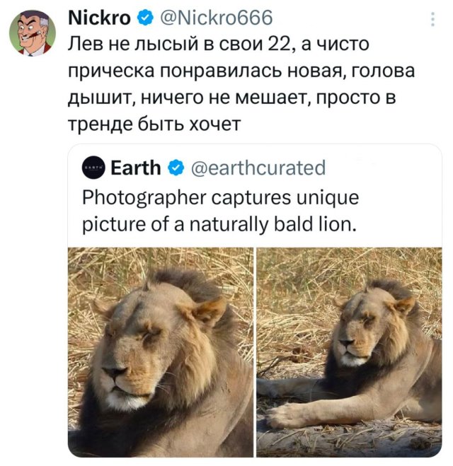 �������� ������� ������ �� ��� ������ �����