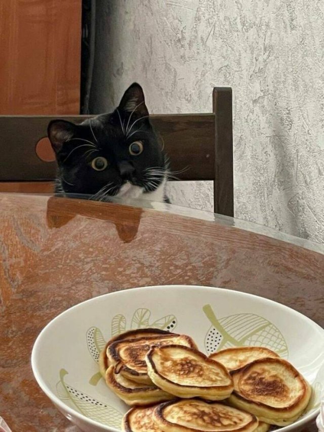 ���������� ��������