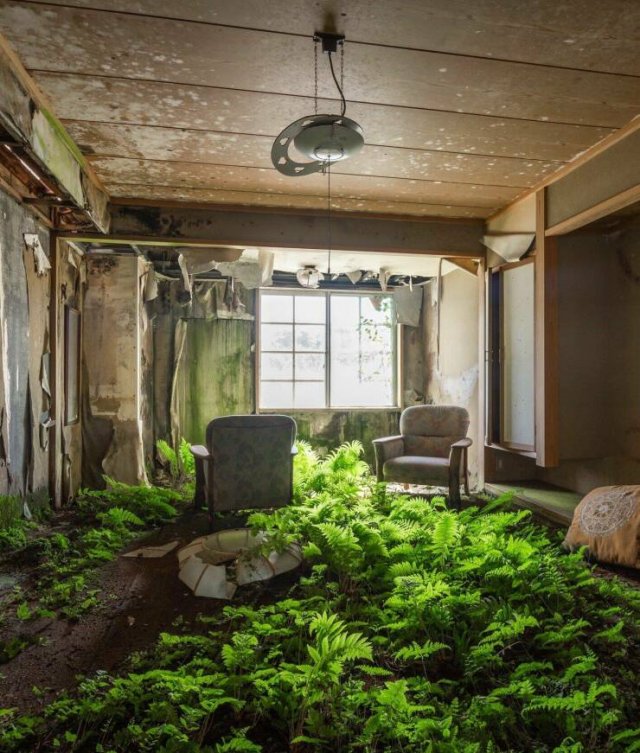 ���������� ��������