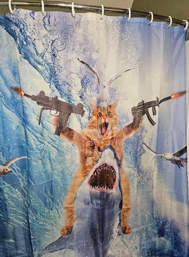 ���������� ��������