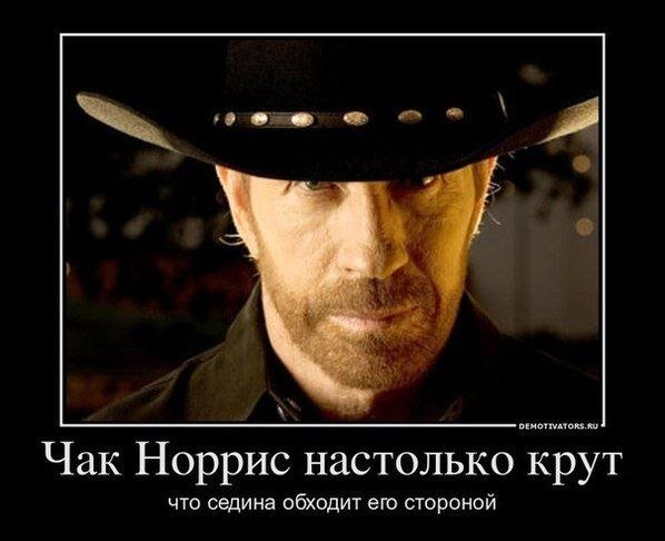 ������ ���� ��� ���� �������: ���������� �������