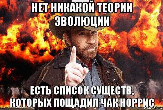 ������ ���� ��� ���� �������: ���������� �������