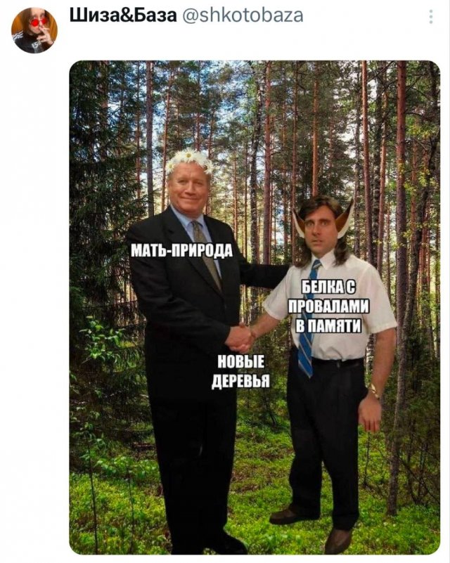 ������ ����� � ���� �� ����