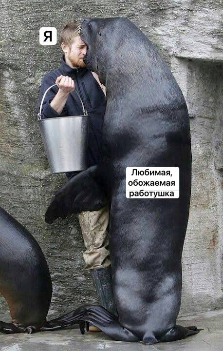 ������ ����� � ���� �� ����