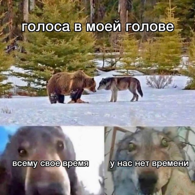 ������ ����� � ���� �� ����