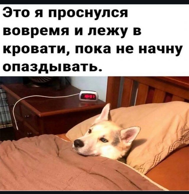 ������ ����� � ���� �� ����