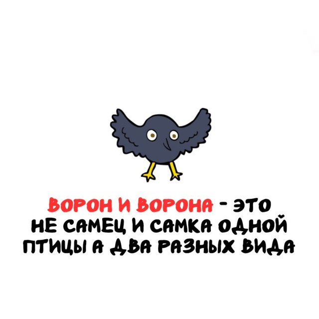 ���������� ����� �� ��� ������ �����