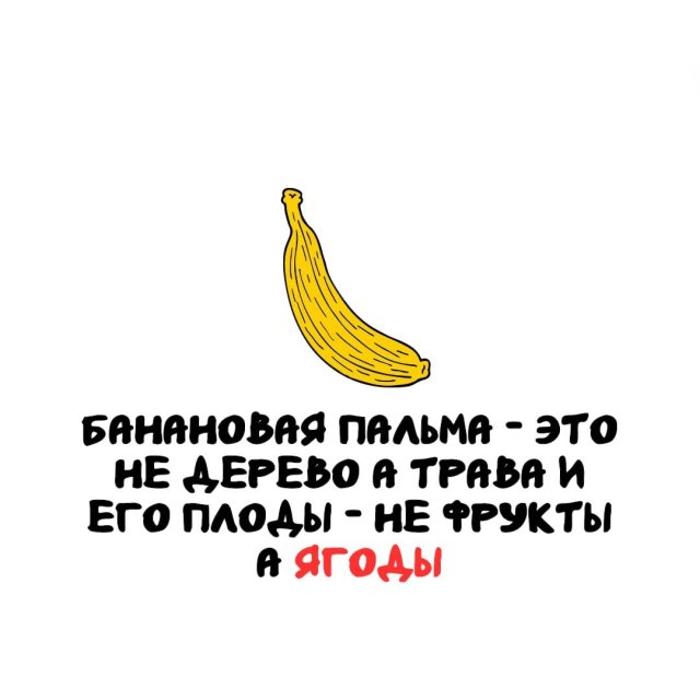 ���������� ����� �� ��� ������ �����