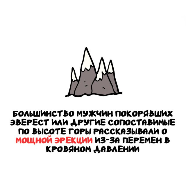 ���������� ����� �� ��� ������ �����