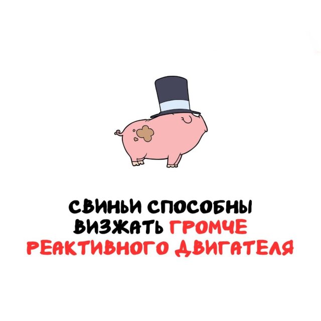 ���������� ����� �� ��� ������ �����