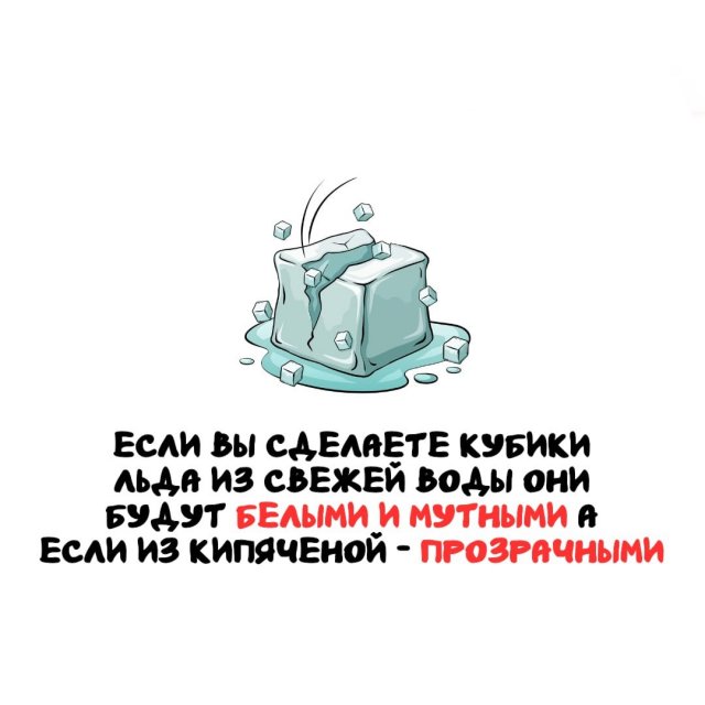 ���������� ����� �� ��� ������ �����