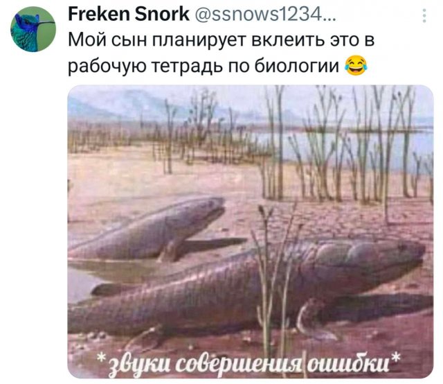 �������� �������� ������ ��� ���� (15 ����)