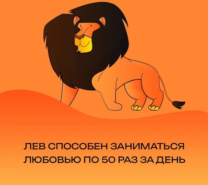 ����� ��� ��������