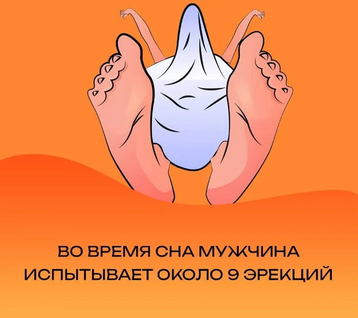 ����� ��� ��������