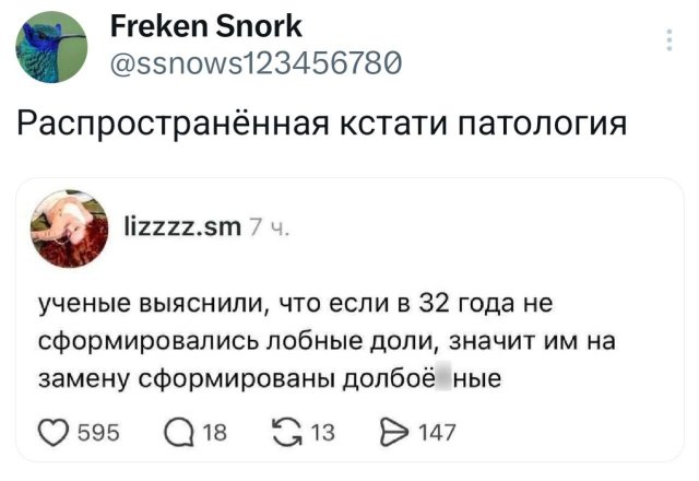�������� �������� ������ ��� ���� (15 ����)