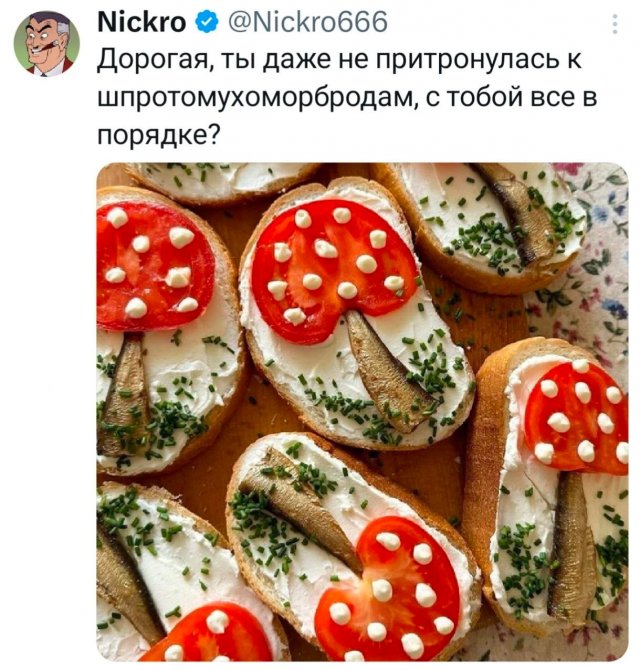 �������� �������� ������ ��� ���� (15 ����)