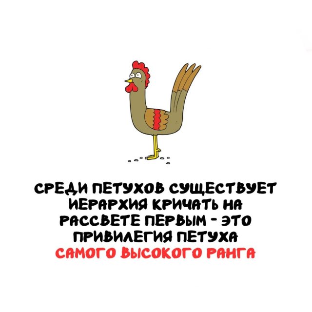 ���������� ����� �� ��� ������ �����