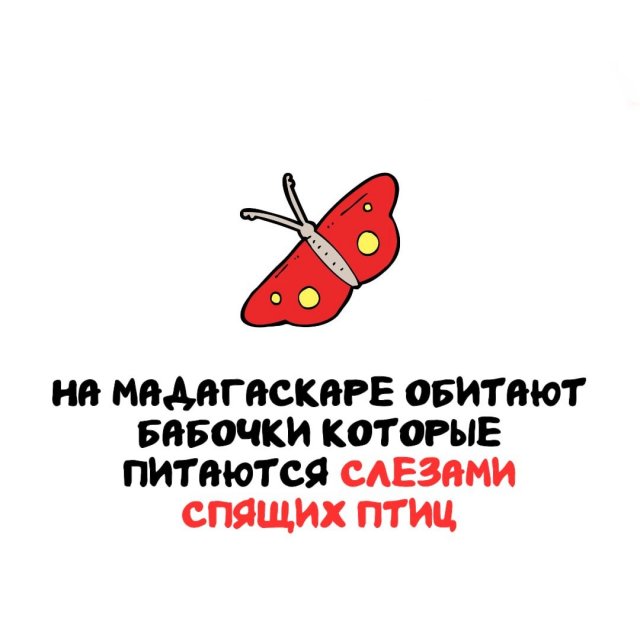 ���������� ����� �� ��� ������ �����
