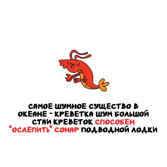 ���������� ����� �� ��� ������ �����