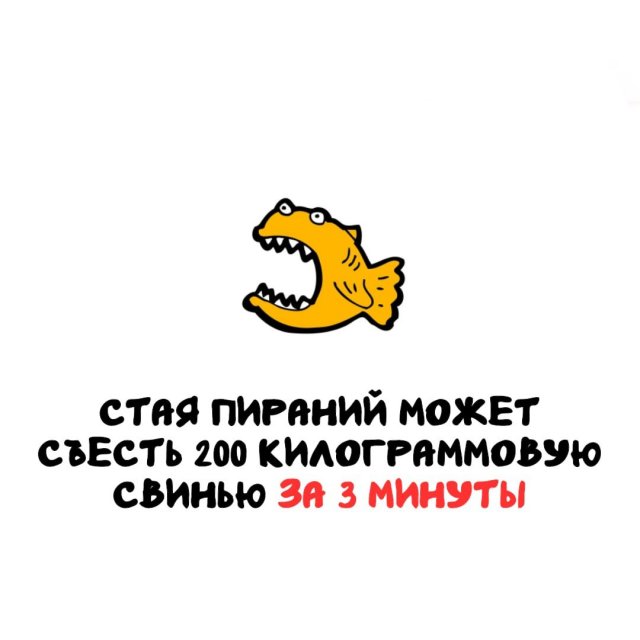 ���������� ����� �� ��� ������ �����