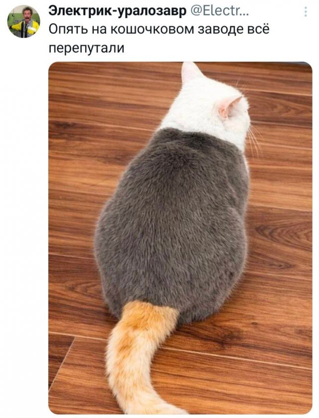 �������� �������� ������ ��� ���� (15 ����)