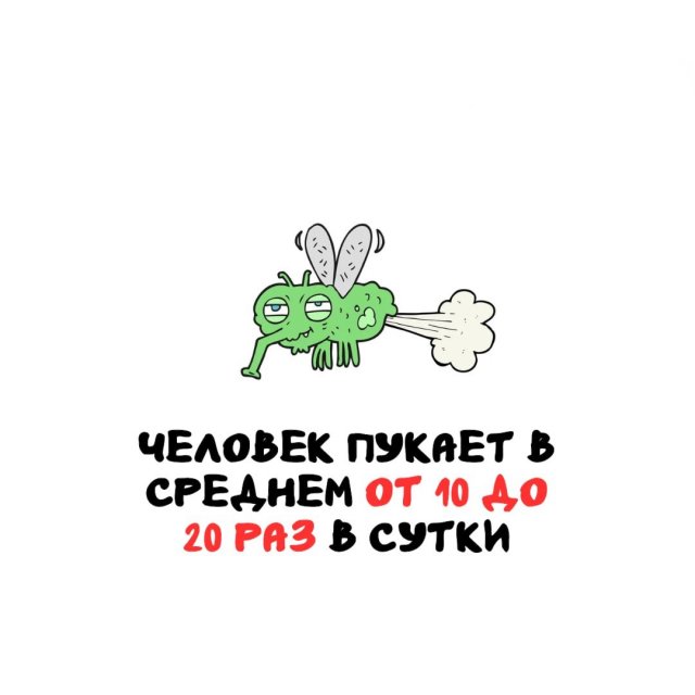 ���������� ����� �� ��� ������ �����