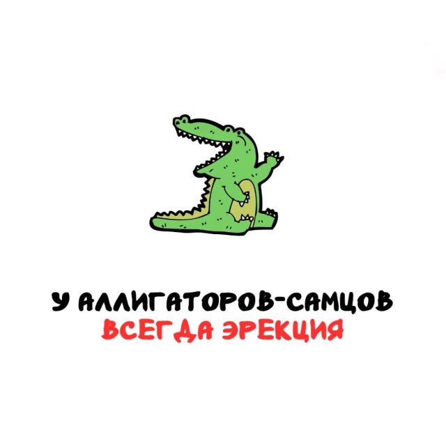 ���������� ����� �� ��� ������ �����