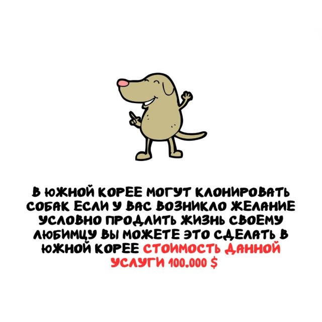 ���������� ����� �� ��� ������ �����