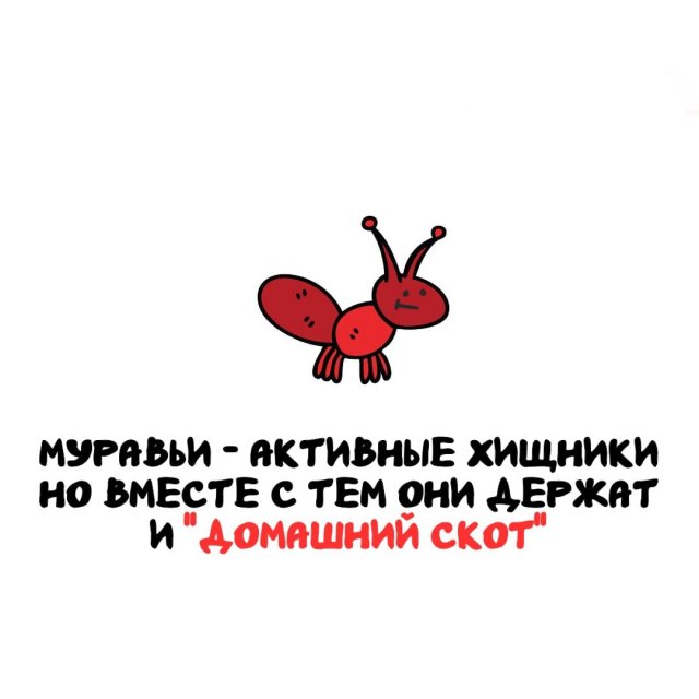 ���������� ����� �� ��� ������ �����