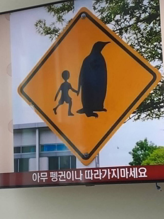 ���� � ��������� ��������