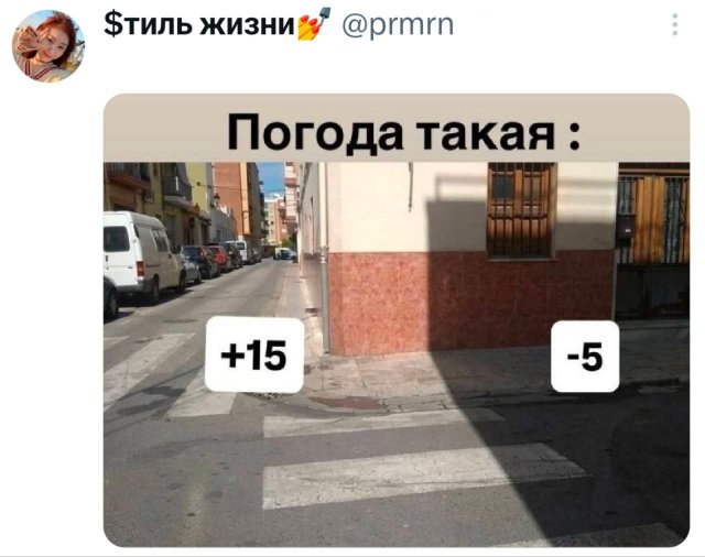 �������� �������� ������ ��� ����