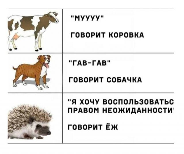 ������� ����