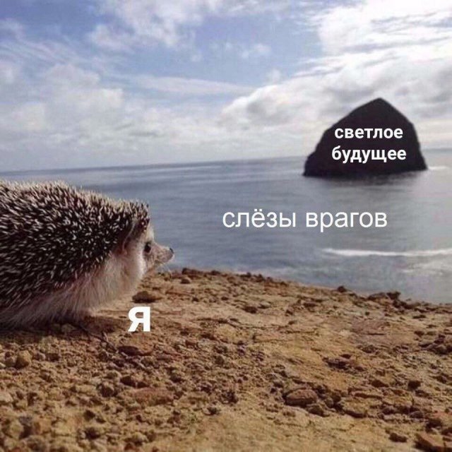������� ����