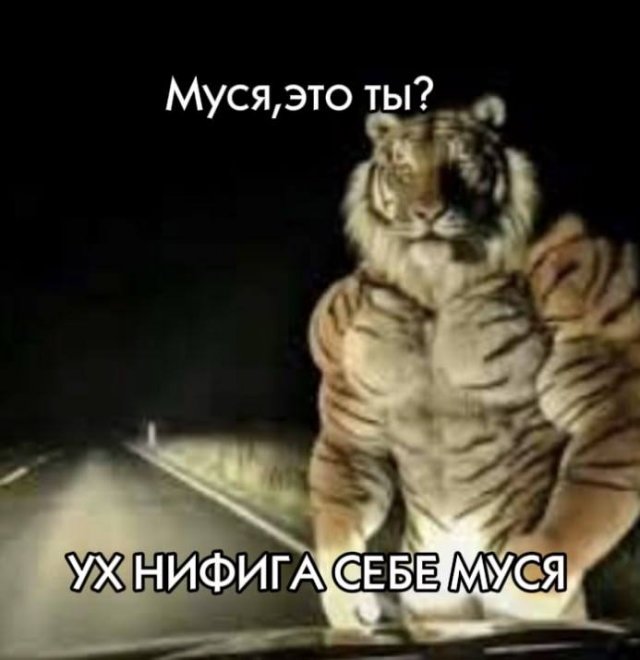 ������� ����
